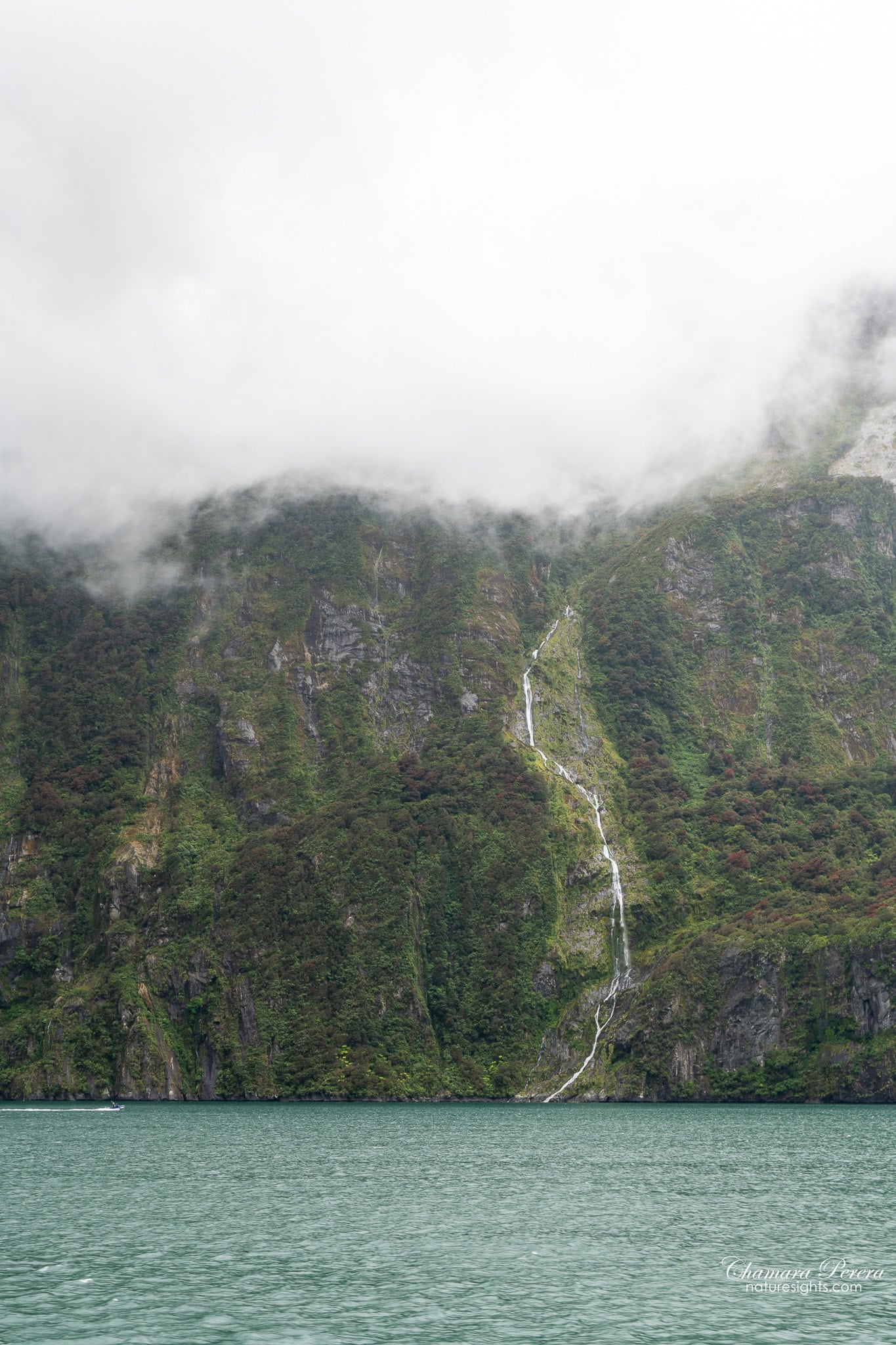 Temporary waterfall on cliff face Milford Sound Fiordland New Zealand