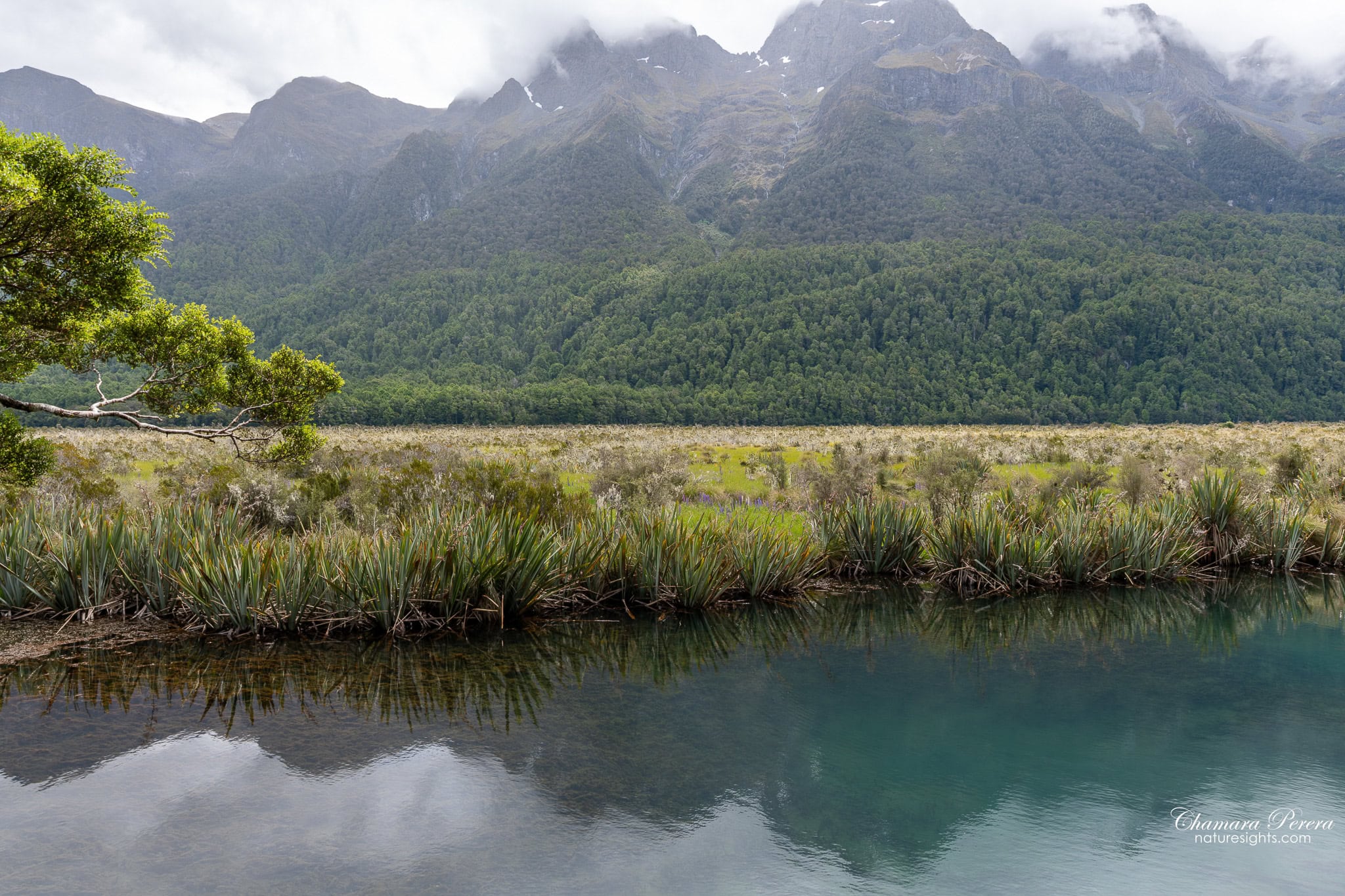 Mirror Lakes teal water and Earl Mountains Fiordland National Park New Zealand