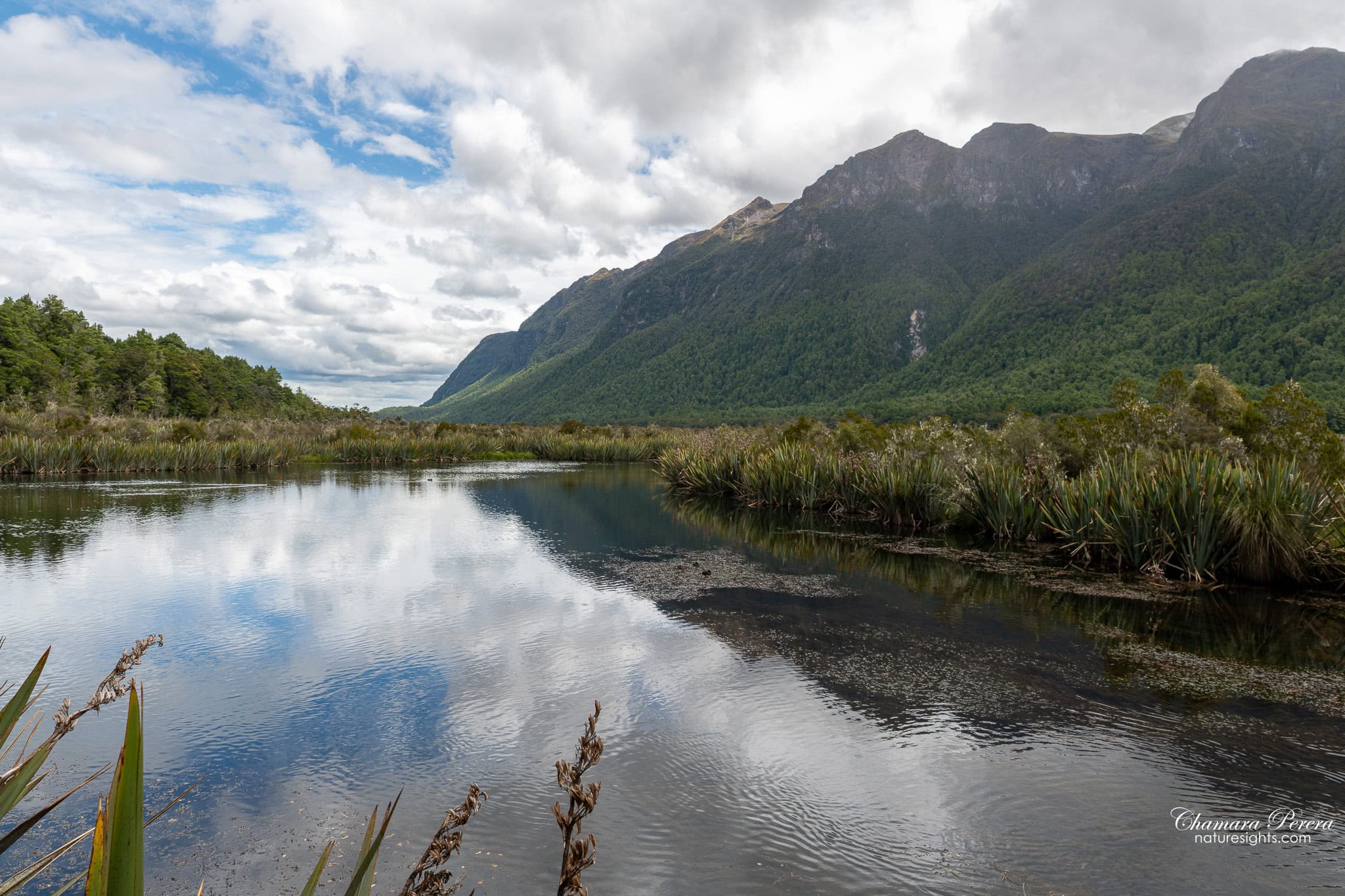 Mirror Lakes reflection of clouds and Earl Mountains Fiordland New Zealand