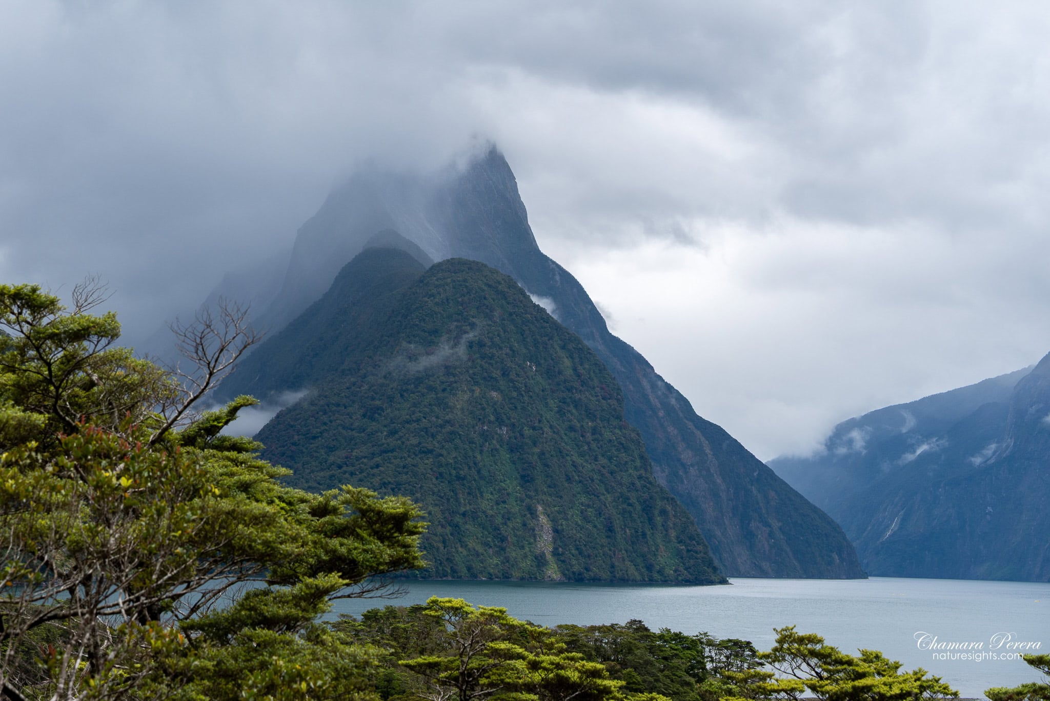Mitre Peak Milford Sound with low cloud wrapping around the summit New Zealand