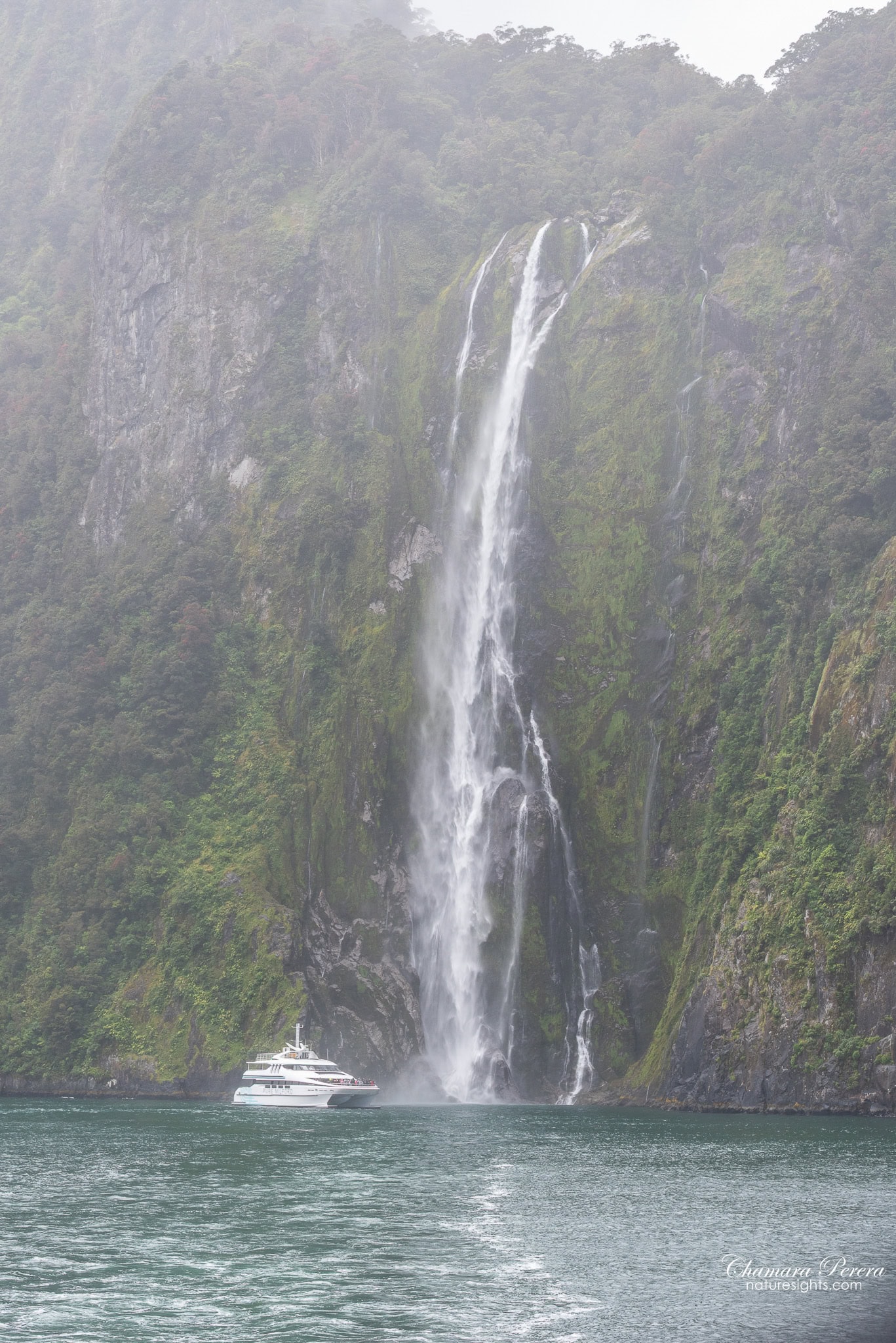 RealNZ cruise boat at Stirling Falls Milford Sound New Zealand