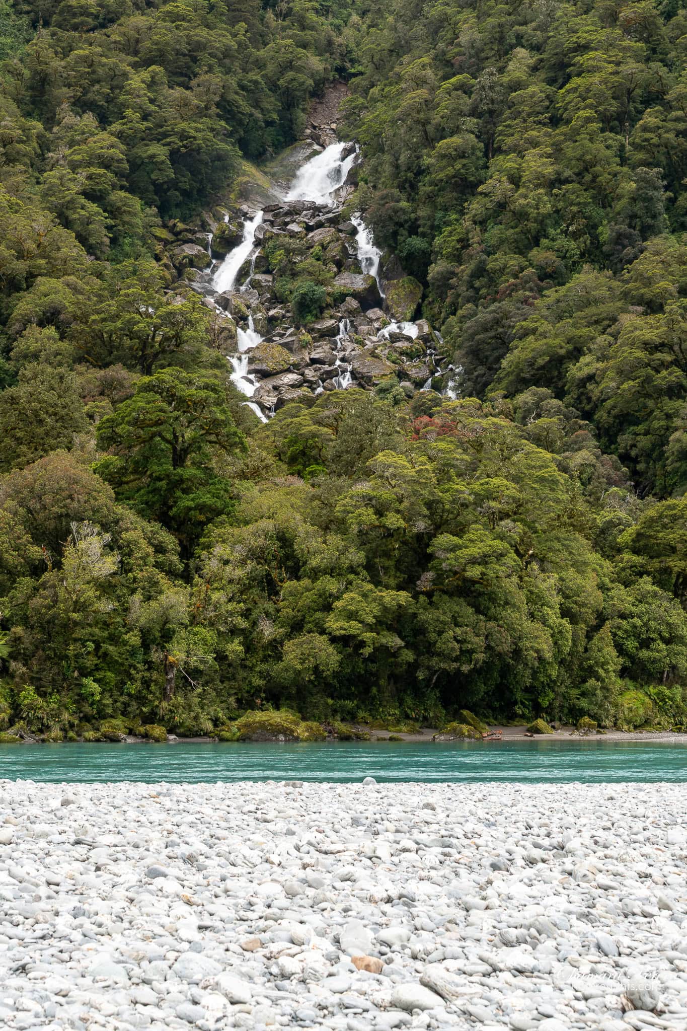 Roaring Billy Falls cascading down into Haast River New Zealand