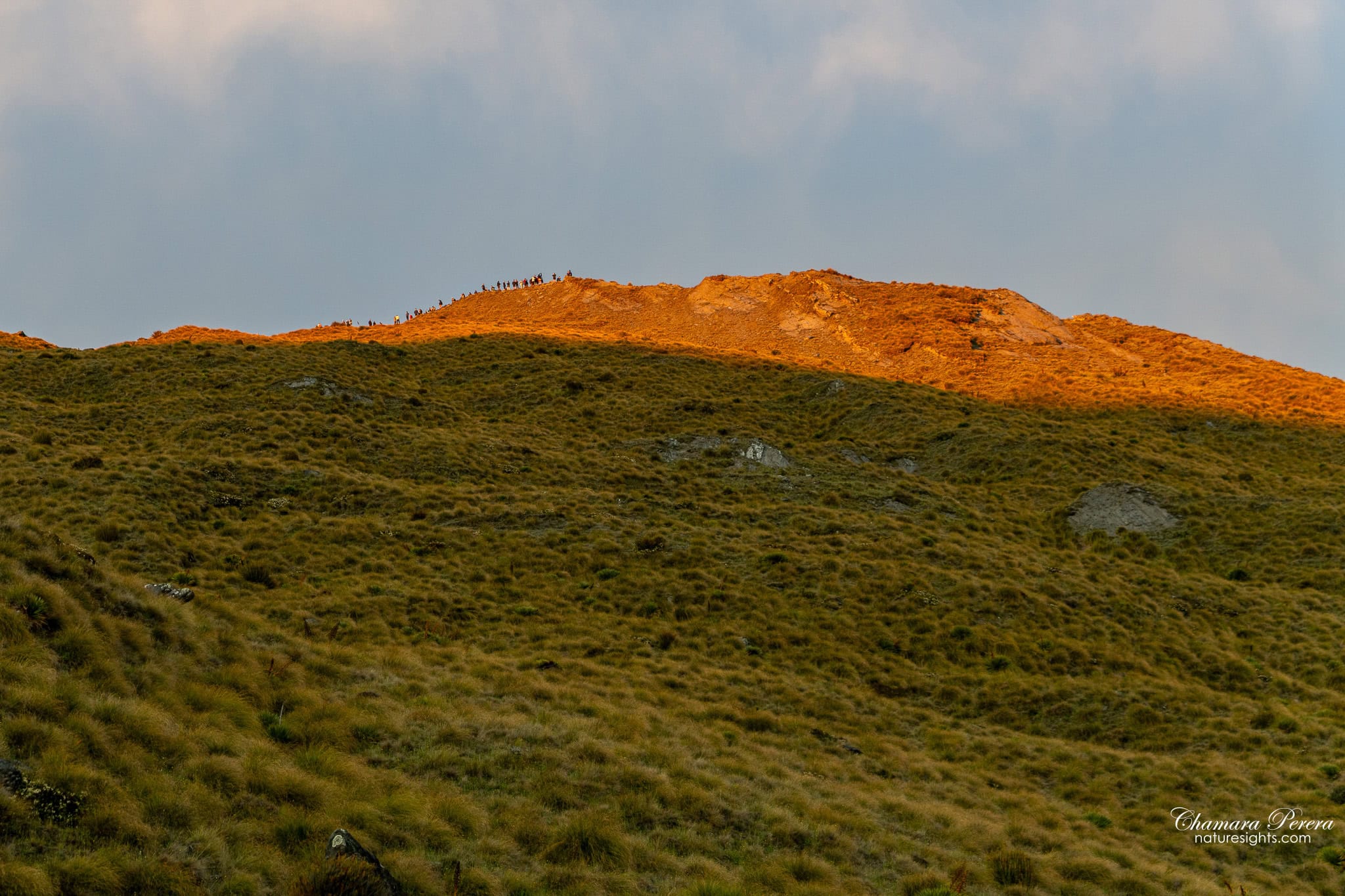 Climbers on Roy's Peak summit silhouetted in golden sunrise light Wanaka New Zealand