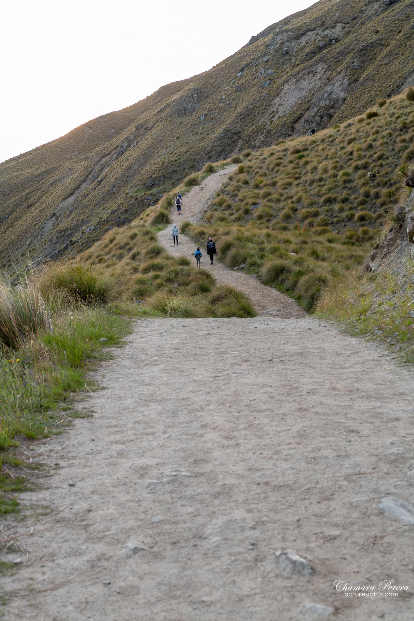 Family hiking up Roy's Peak track in Wanaka New Zealand