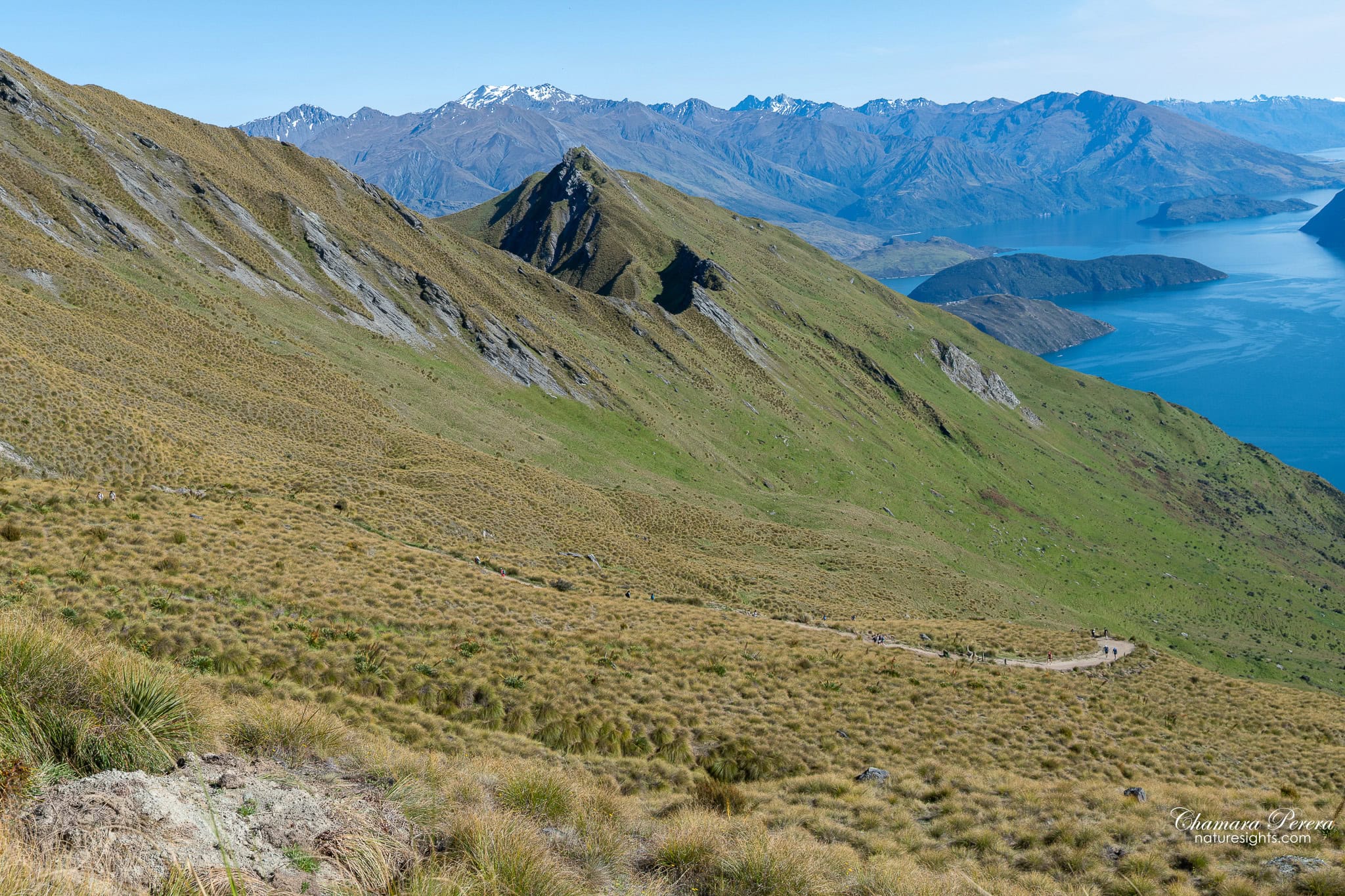 Roy's Peak trail zigzagging up hillside with Lake Wanaka below New Zealand