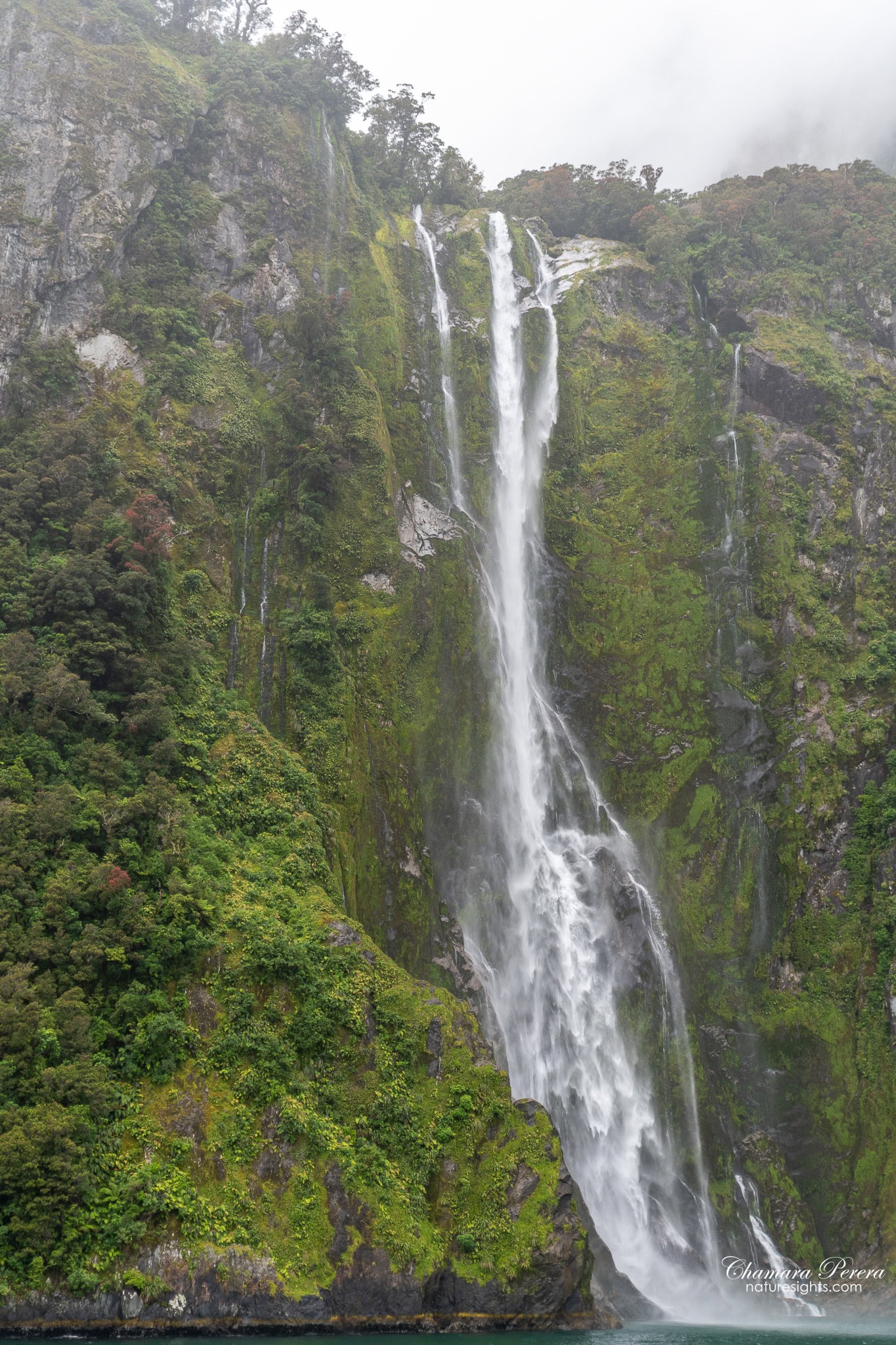 Stirling Falls Milford Sound vertical shot close up New Zealand