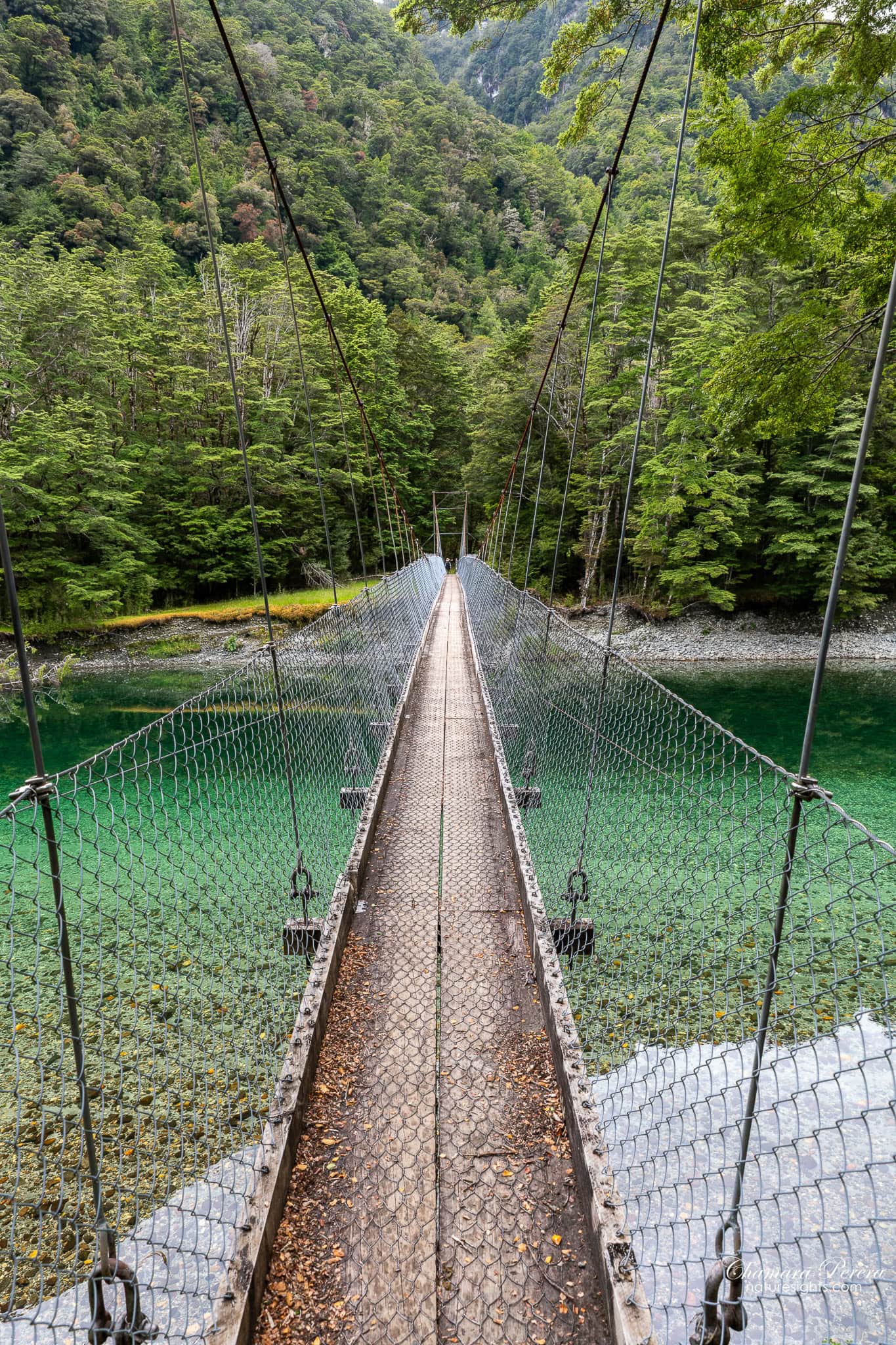 swing bridge looking down Clinton River Milford Track New Zealand