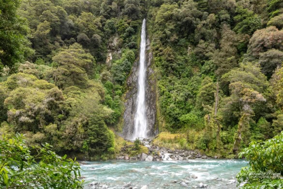 Thunder Creek Falls single drop into Haast River Haast Pass New Zealand