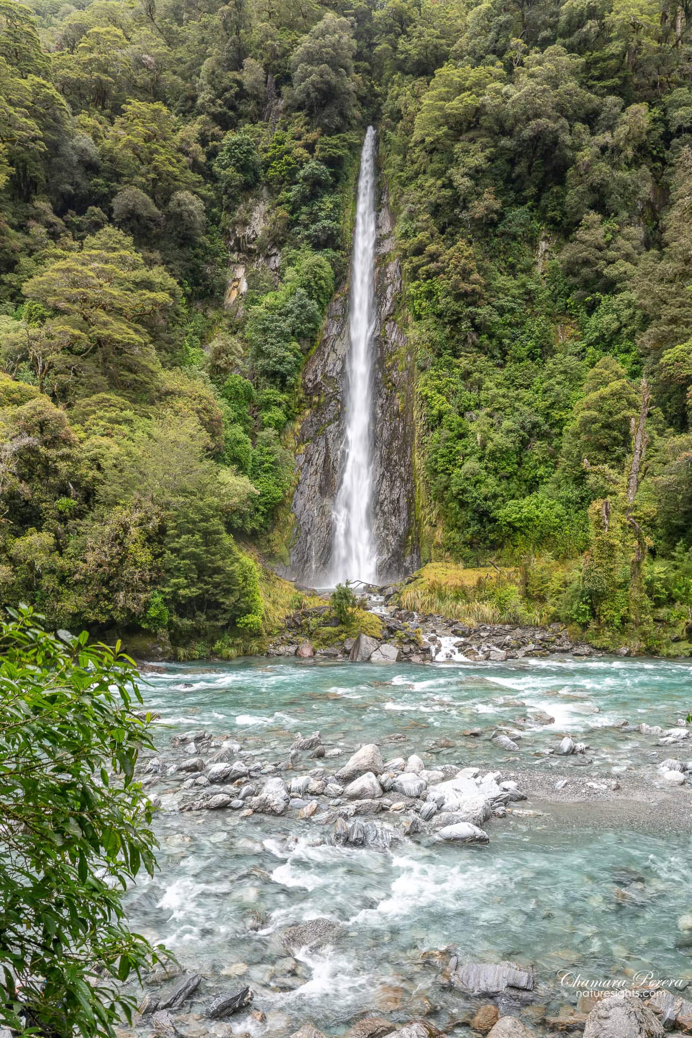 Thunder Creek Falls vertical view Haast Pass New Zealand