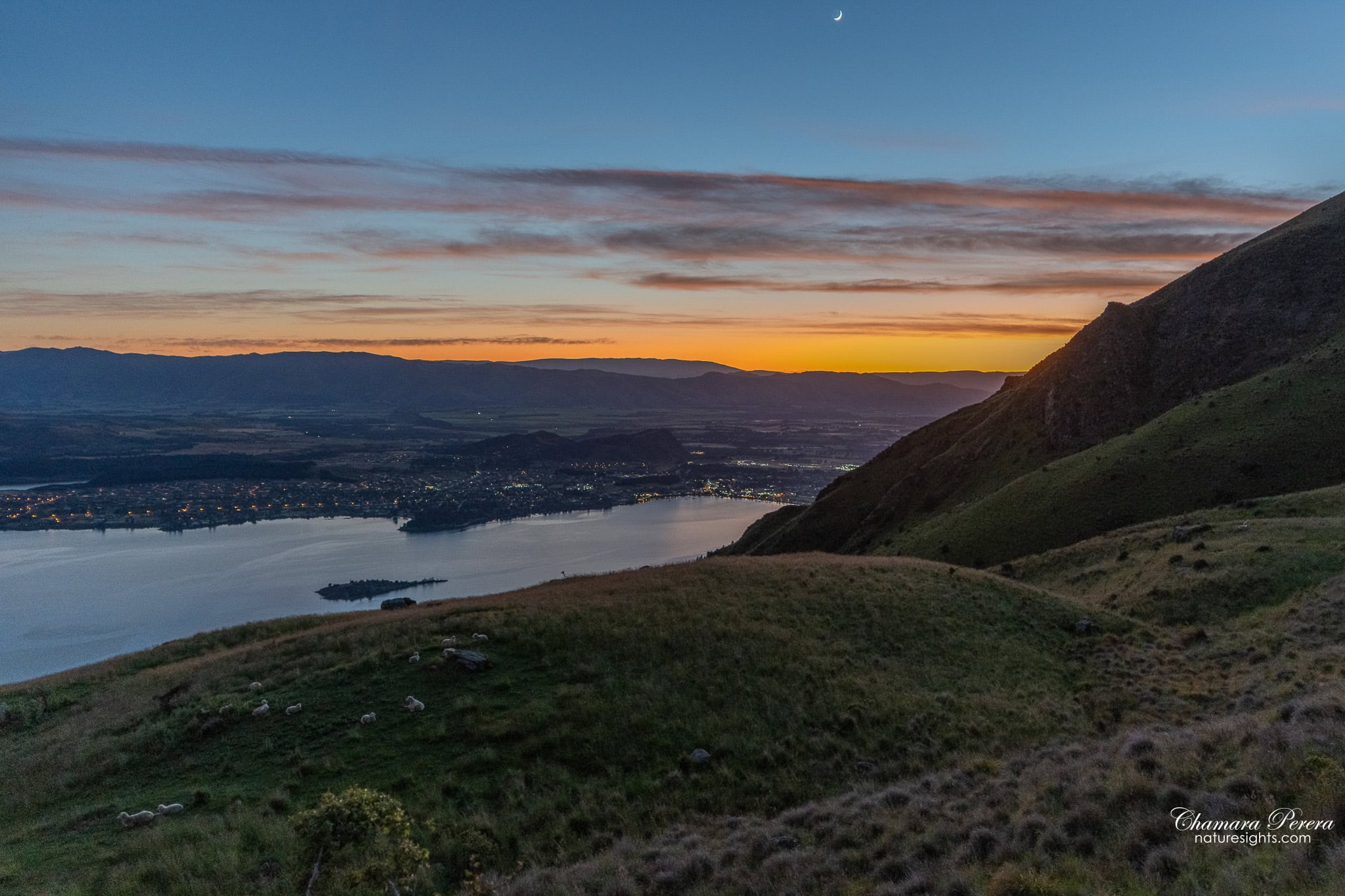 Wanaka town lights reflected in Lake Wanaka at pre-dawn from Roy's Peak trail New Zealand