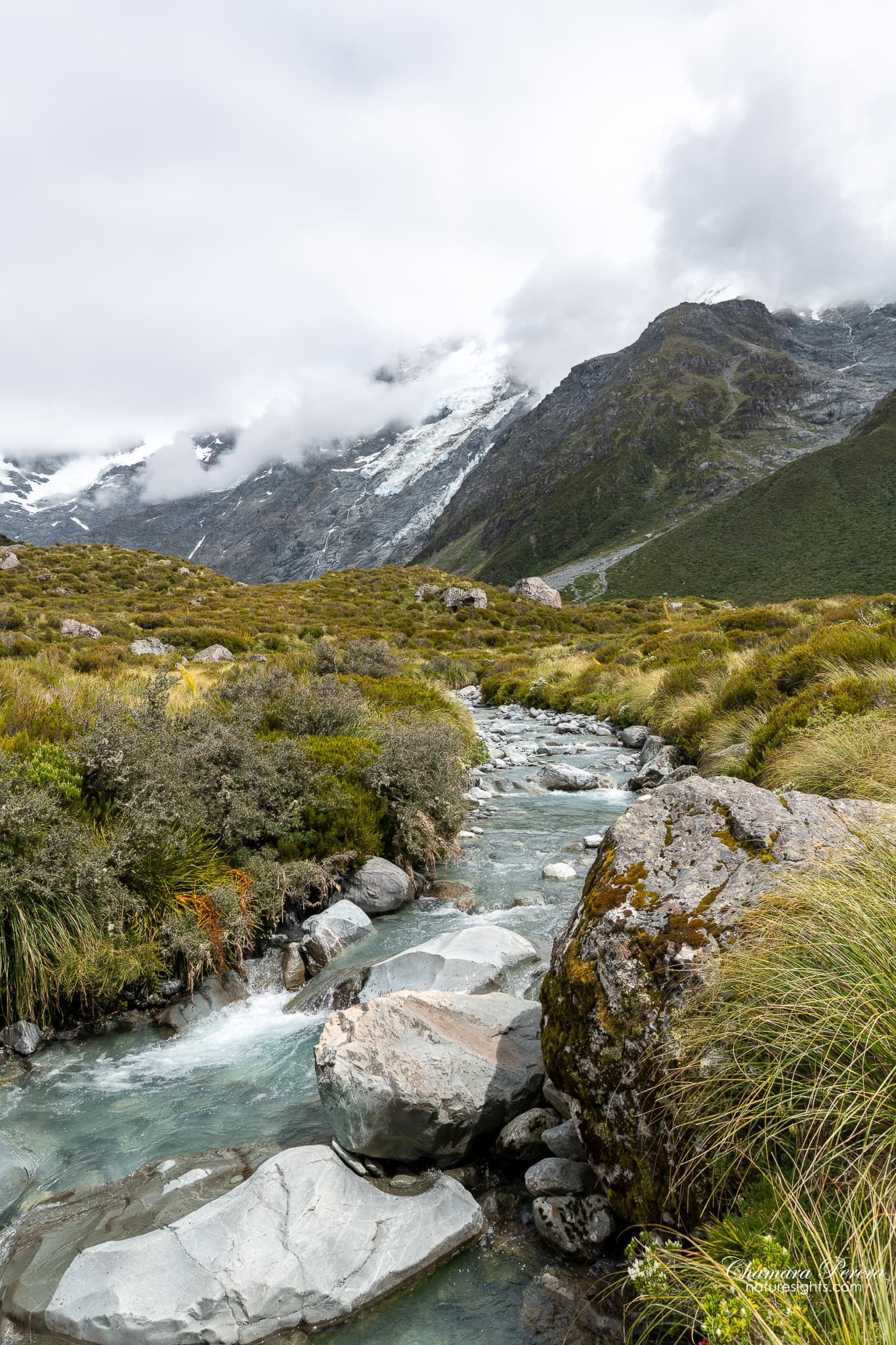 clear alpine stream through tussock grass Hooker Valley New Zealand