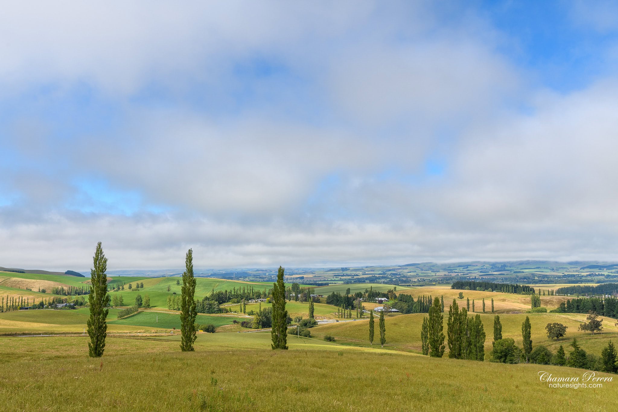 Canterbury farmland on the drive to Mount Sunday New Zealand