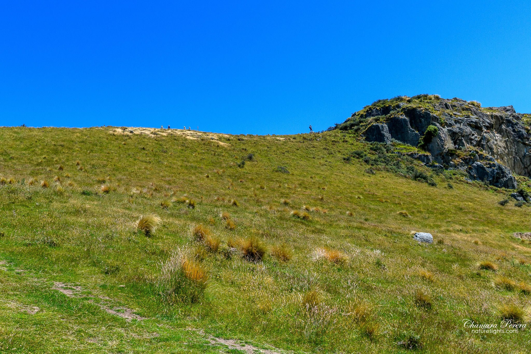 Hiking up grassy slope of Mount Sunday Edoras filming location New Zealand