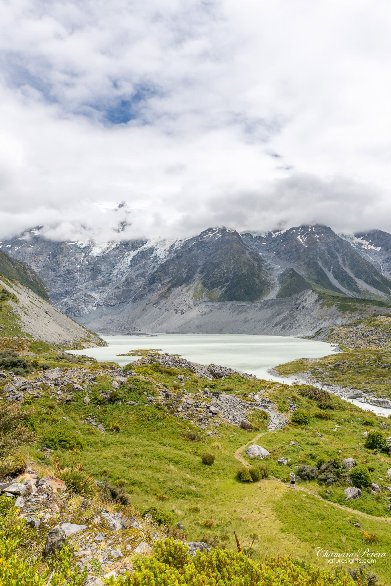 Hooker Lake with green hills and glaciers Aoraki Mount Cook New Zealand