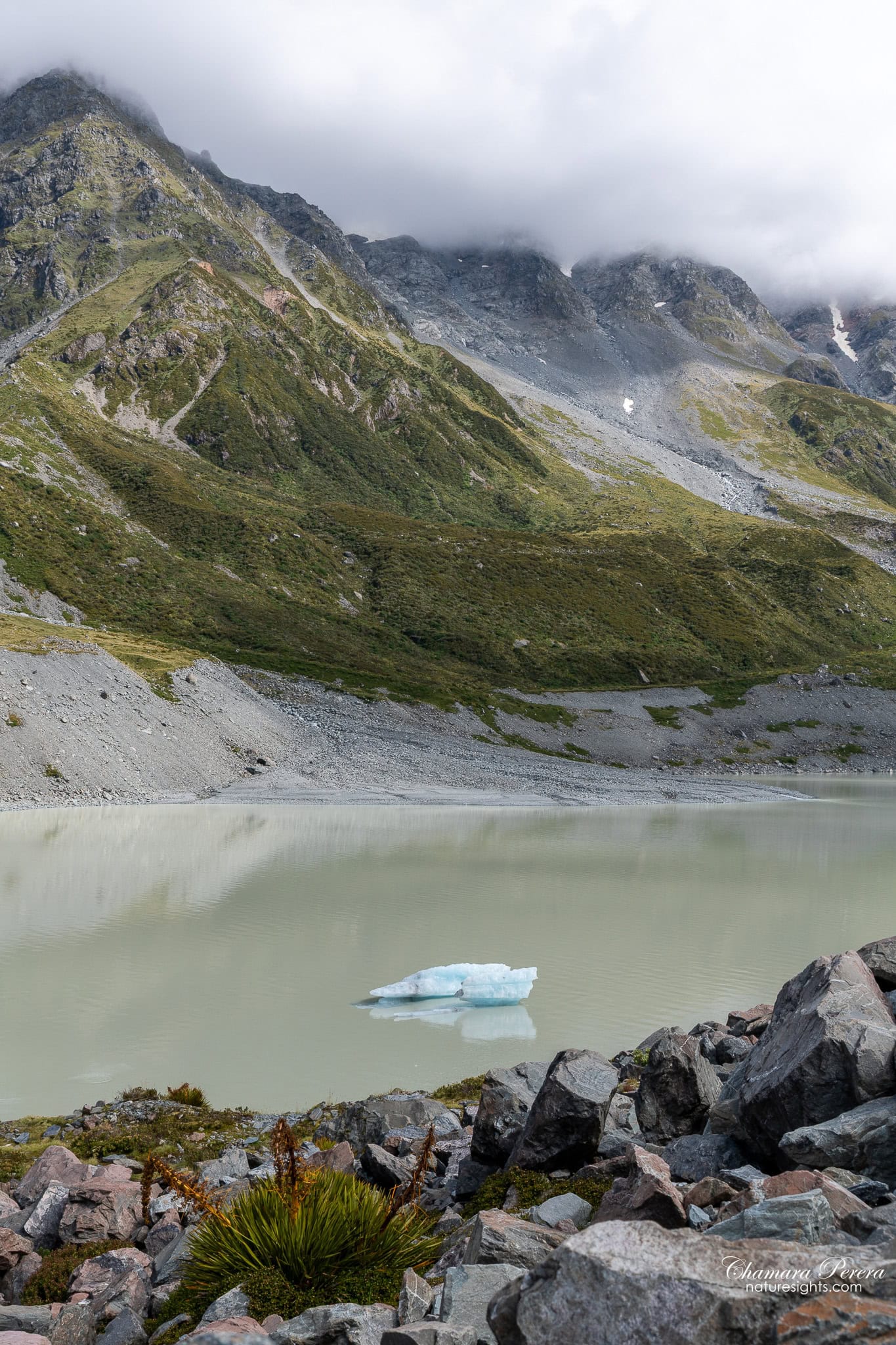 small iceberg floating in Hooker Lake Mount Cook New Zealand