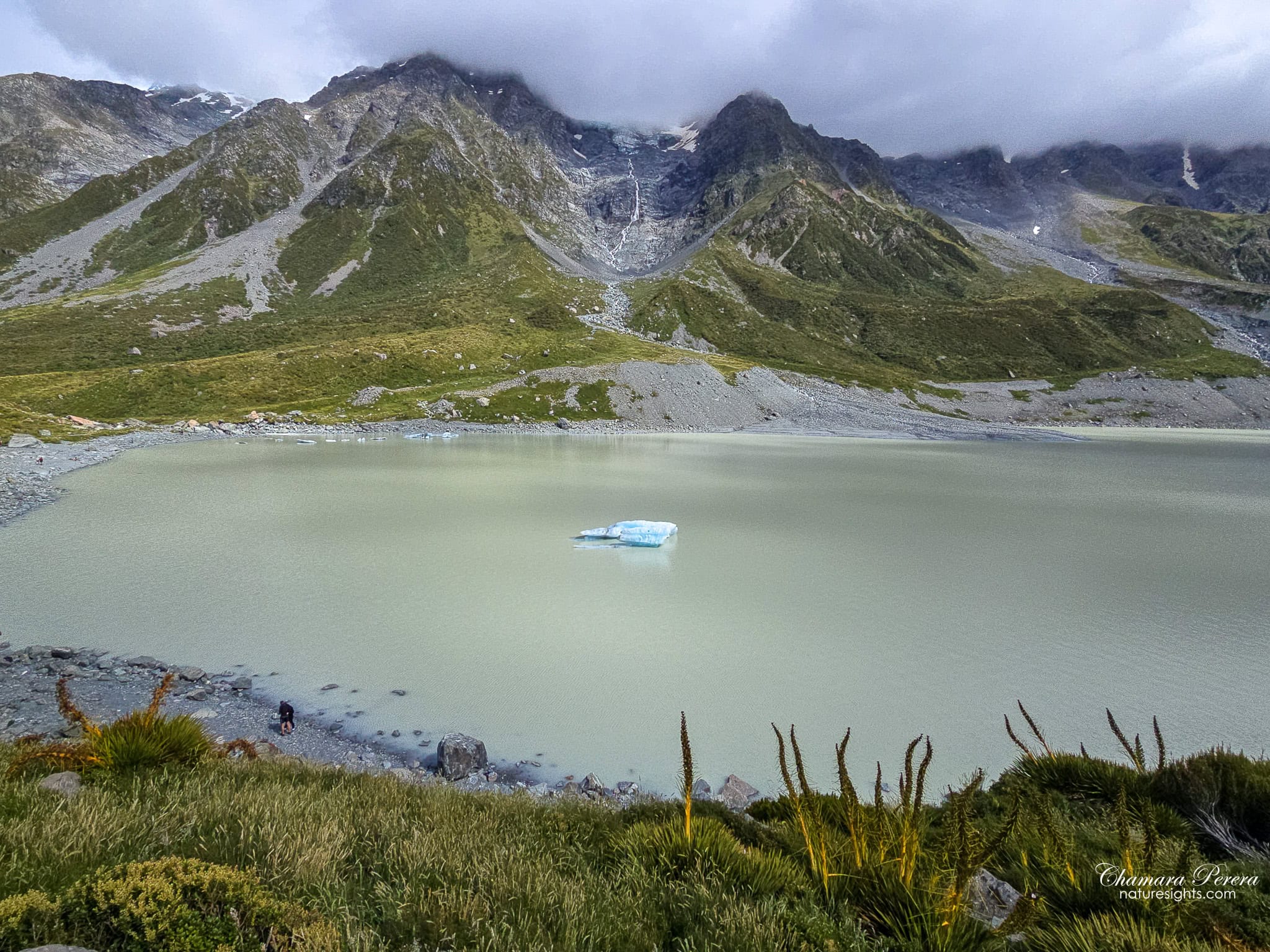 panoramic view of Hooker Lake with iceberg and mountains Mount Cook New Zealand