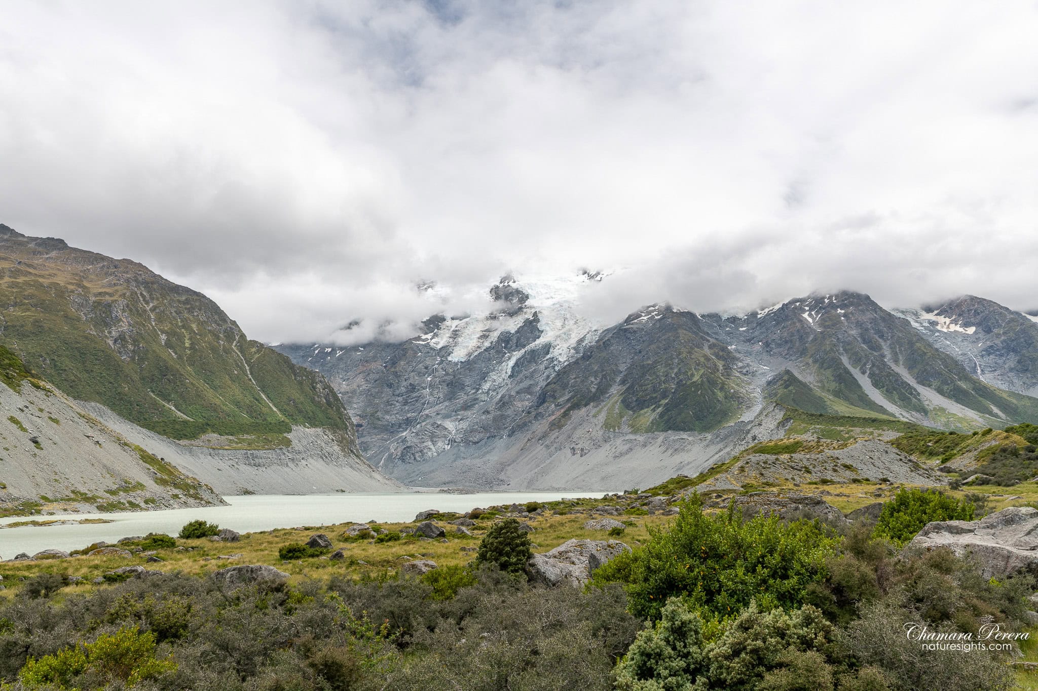 Hooker Lake with native shrubs in foreground Mount Cook New Zealand
