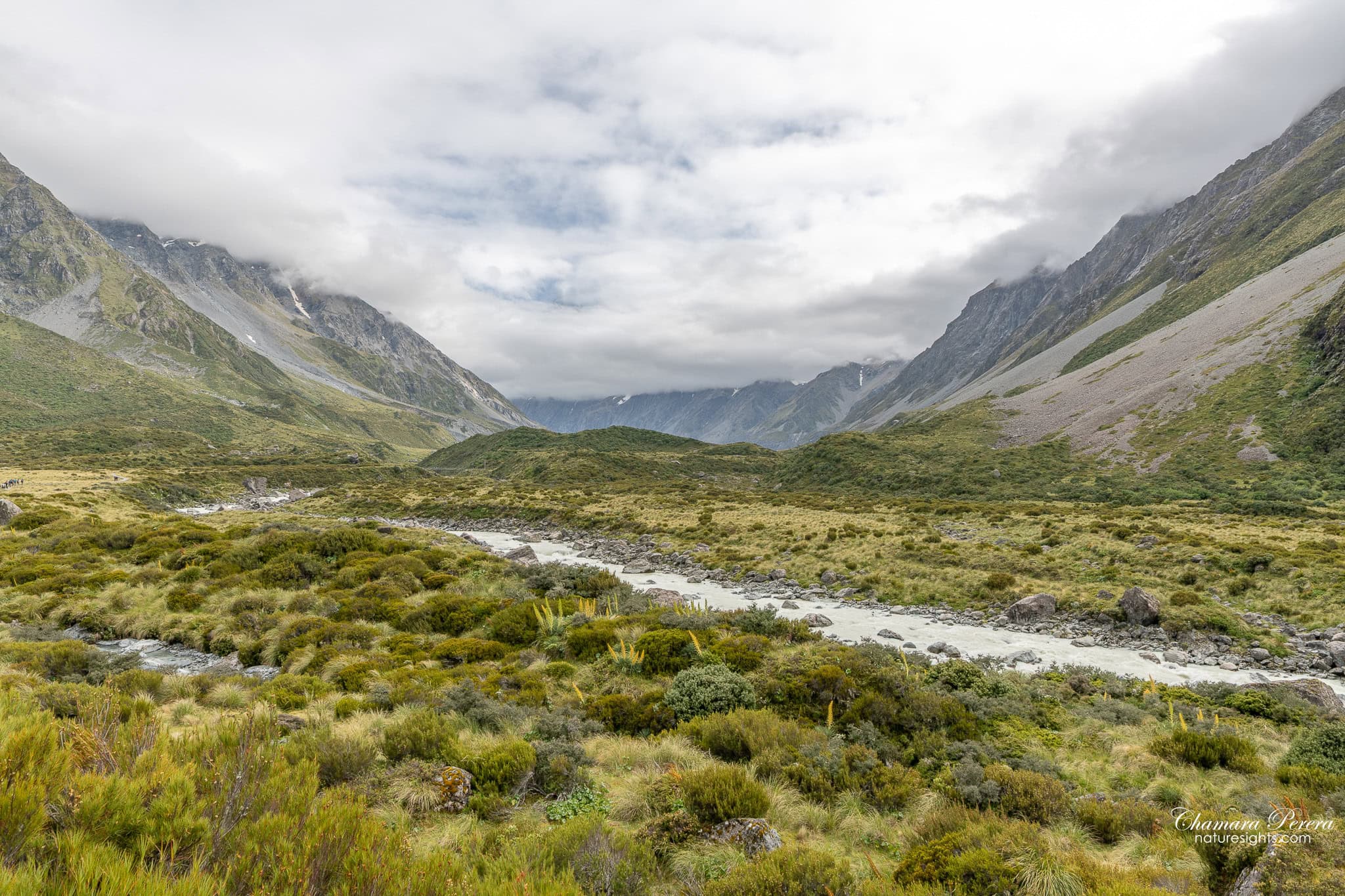 wide view of Hooker Valley with milky river and mountains New Zealand