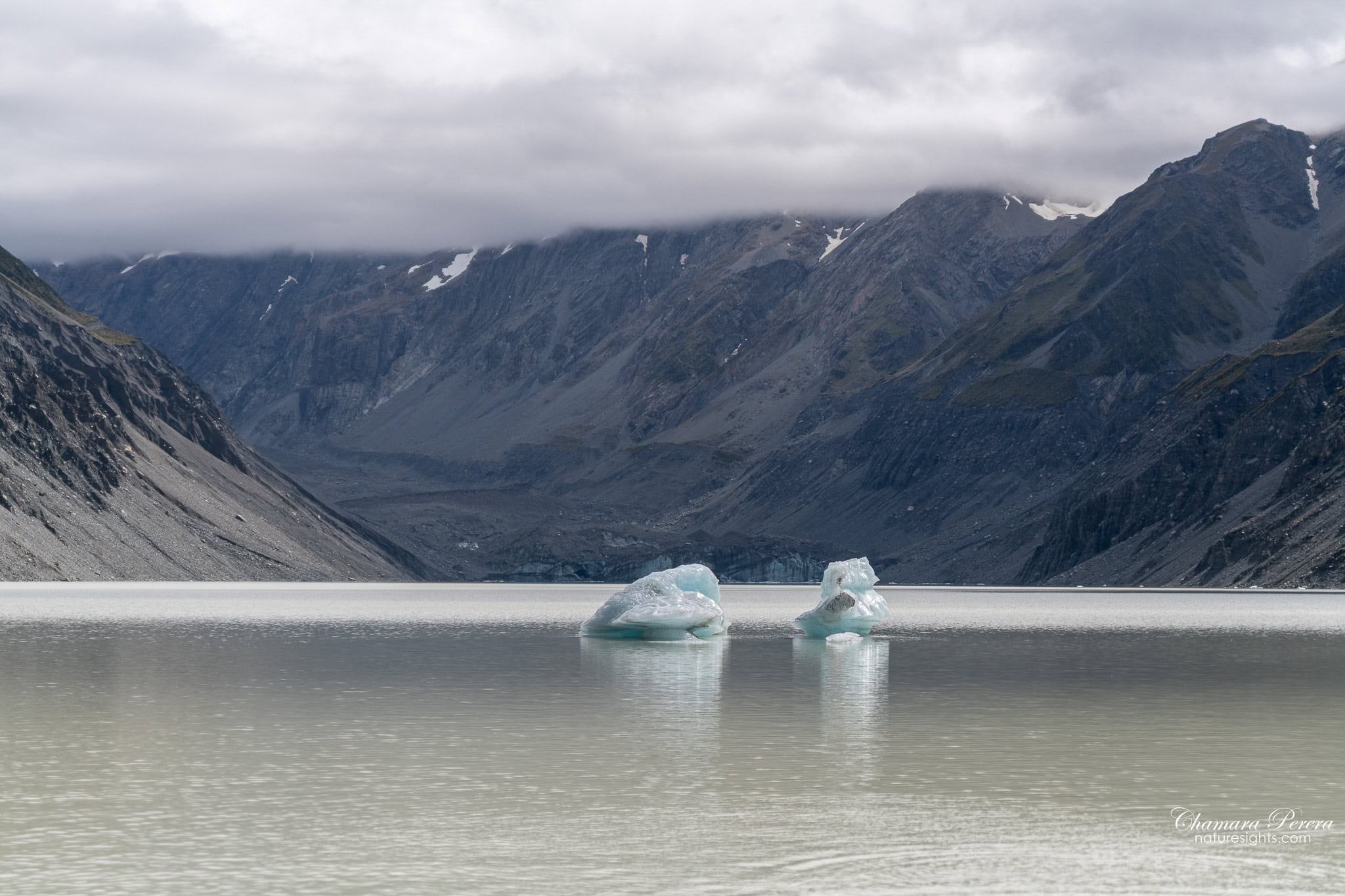 two icebergs floating in Hooker Lake Aoraki Mount Cook New Zealand