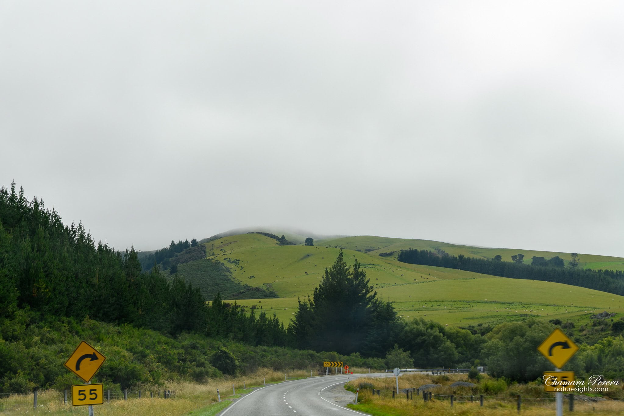 Misty road through green hills Burkes Pass Canterbury New Zealand