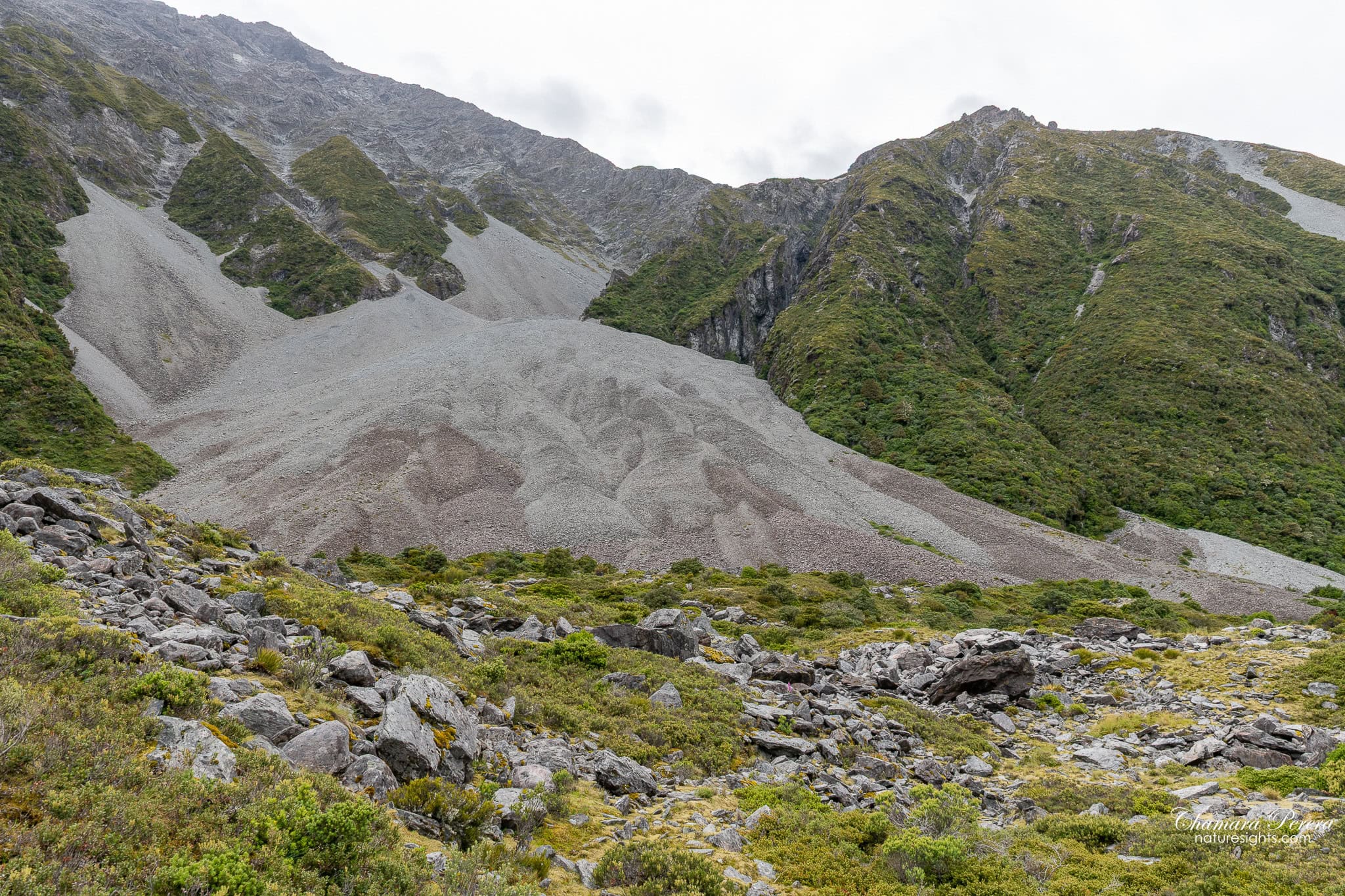 moraine and scree slopes Mount Cook National Park New Zealand