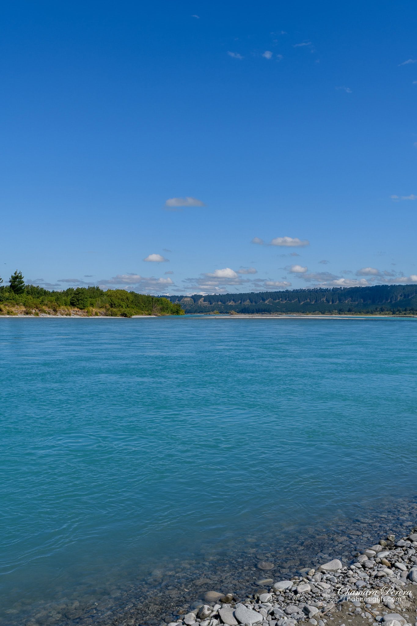 Turquoise Rakaia River from riverside stones portrait view Canterbury New Zealand