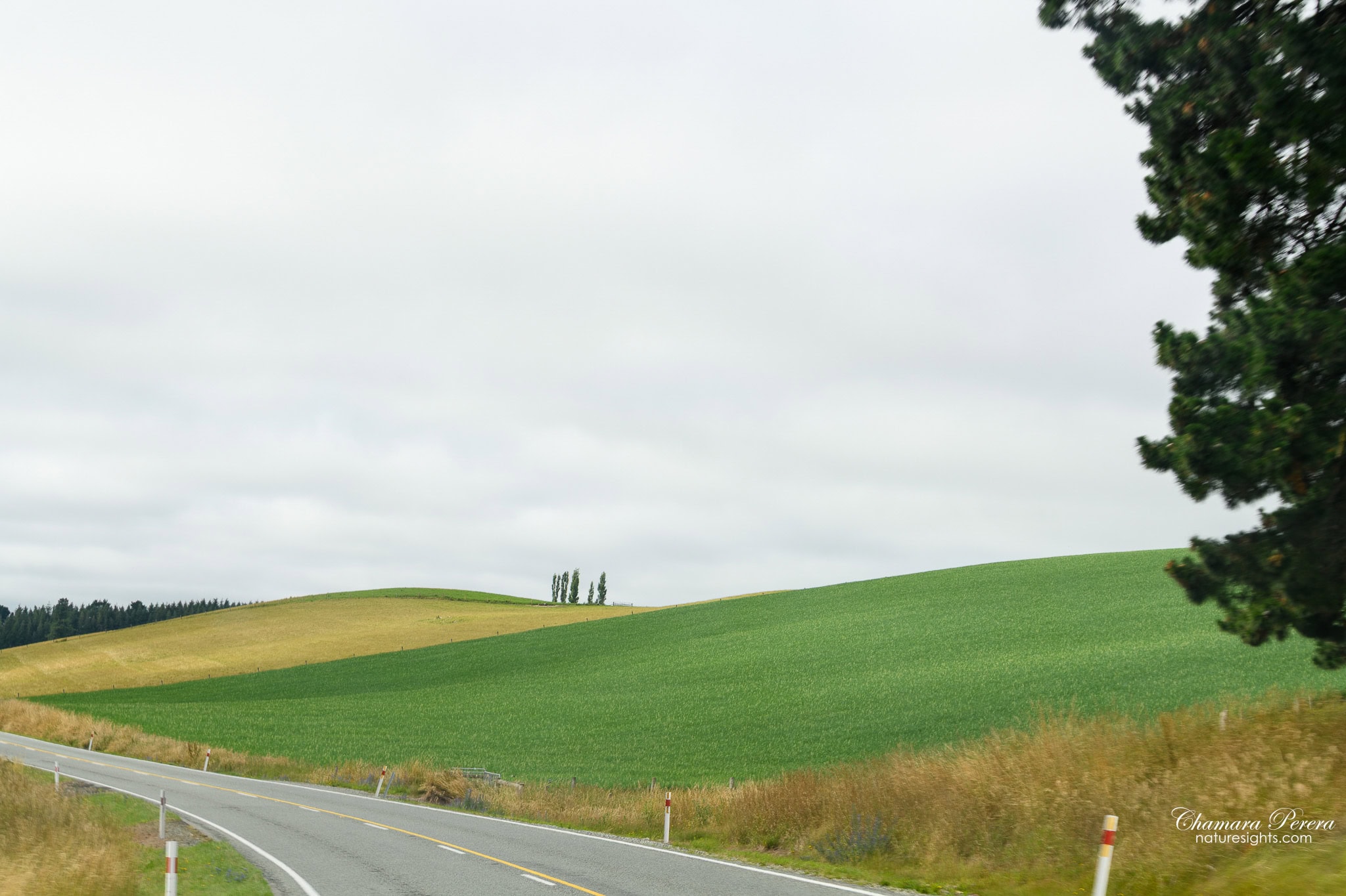 Road through Canterbury farmland on the way to Mount Sunday New Zealand