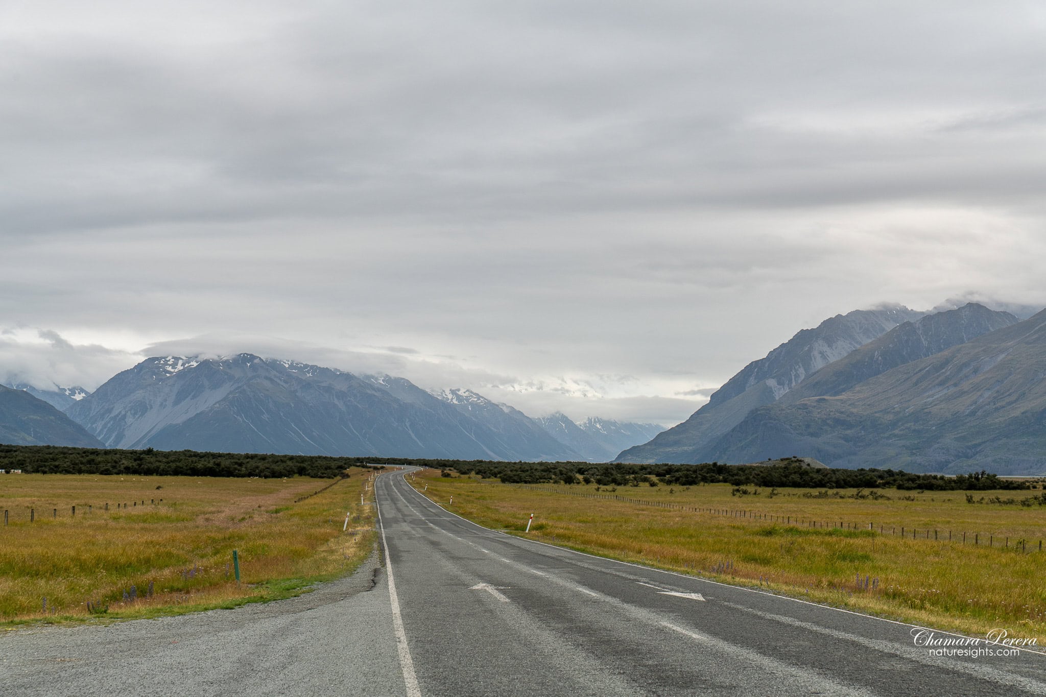 straight road leading to Aoraki Mount Cook National Park New Zealand