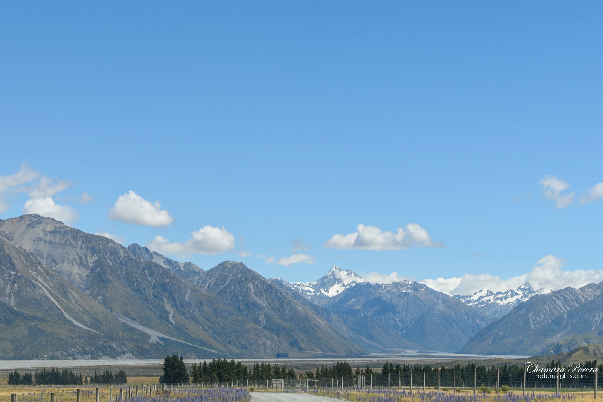 Fence line with Southern Alps and Mount Cook Rangitata Valley New Zealand