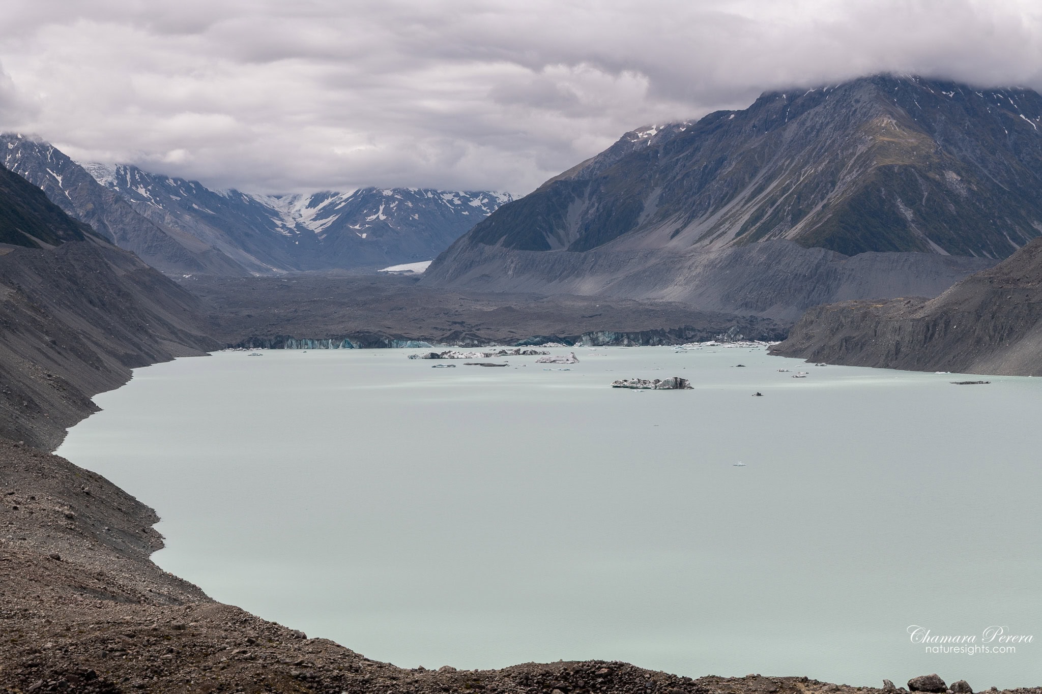 Tasman Lake from the moraine viewpoint with glacier terminal face and icebergs Mount Cook New Zealand