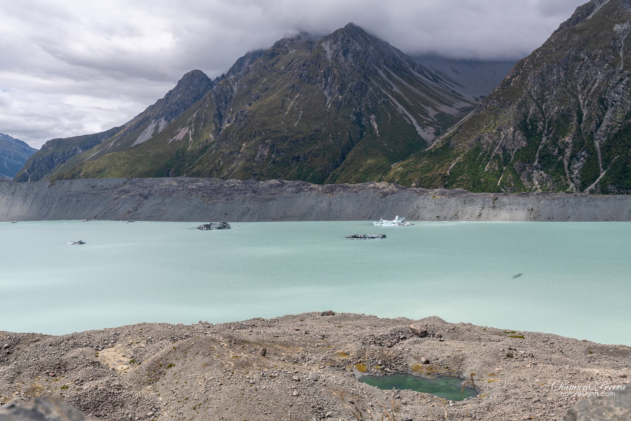 Tasman Lake with icebergs and small moraine pool in foreground at Mount Cook New Zealand