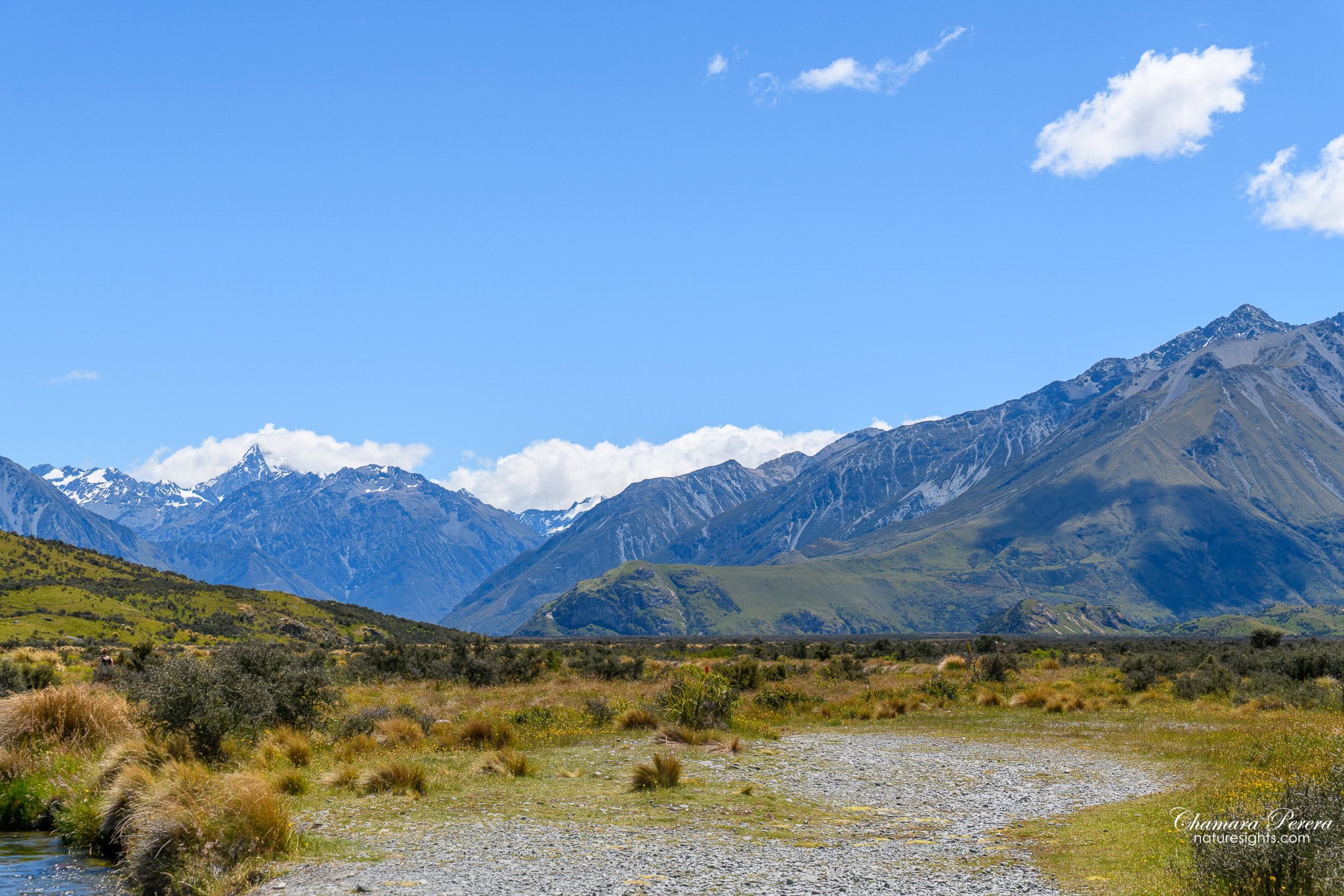 Tussock plains with Southern Alps Hakatere Conservation Park New Zealand